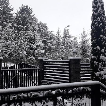 Pensiunea Unio Săcele Exterior foto